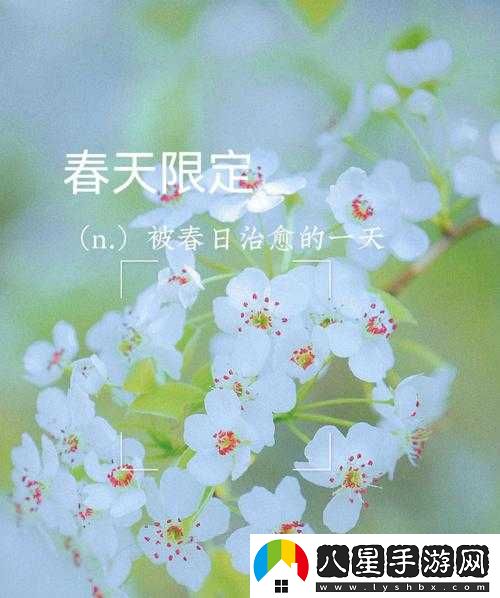日本電影三葉草的春天觀(guān)后感