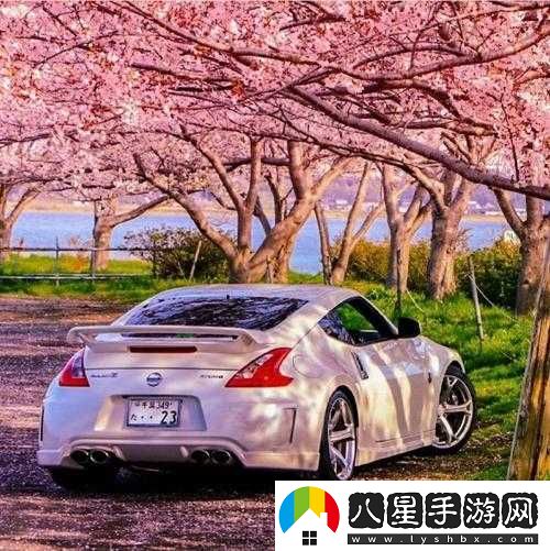 日產(chǎn)櫻花一線(xiàn)二線(xiàn)三線(xiàn)
