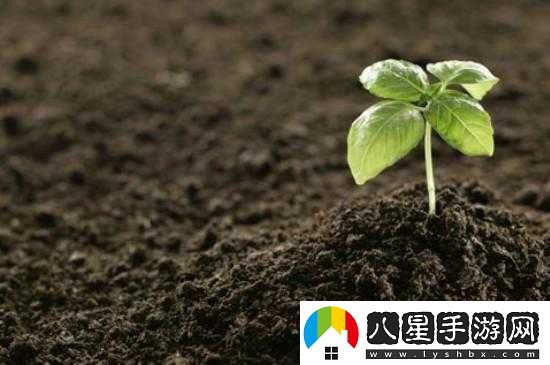 開(kāi)墾母親肥沃的土地叫什么