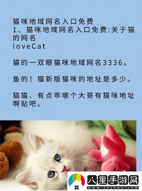 喵星人占領(lǐng)網(wǎng)絡(luò )