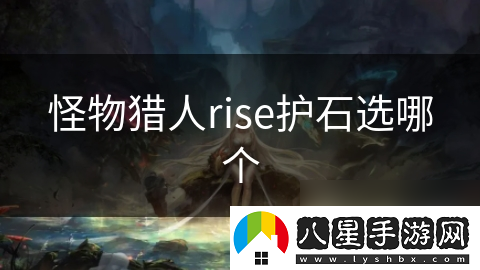 怪物獵人rise護石選哪個(gè)