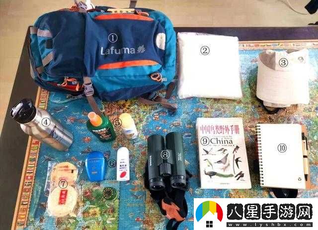 觀(guān)鳥(niǎo)必備裝備清單