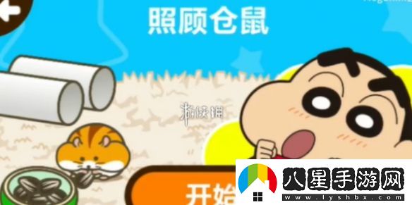 蠟筆小新之小幫手大作戰照顧倉鼠通關(guān)攻略