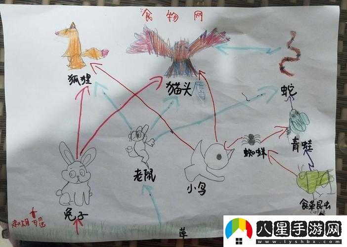 吃飯時(shí)某物緊密相連的奇妙之處