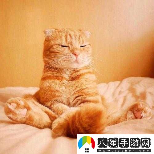 蒼藍境界亞邦分析及技能加點(diǎn)