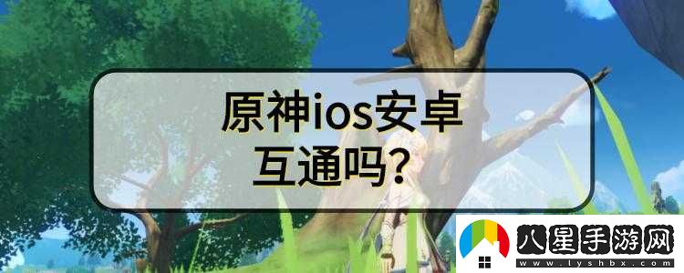 神兵器跨平臺游戲互通性解析