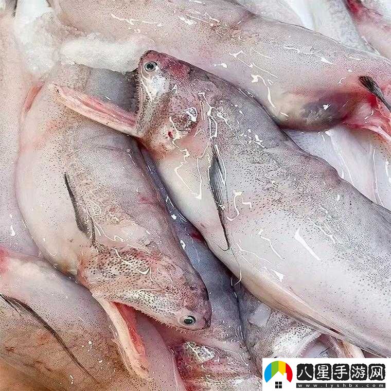 久產(chǎn)九人力資源有限公司豐沛有魚(yú)