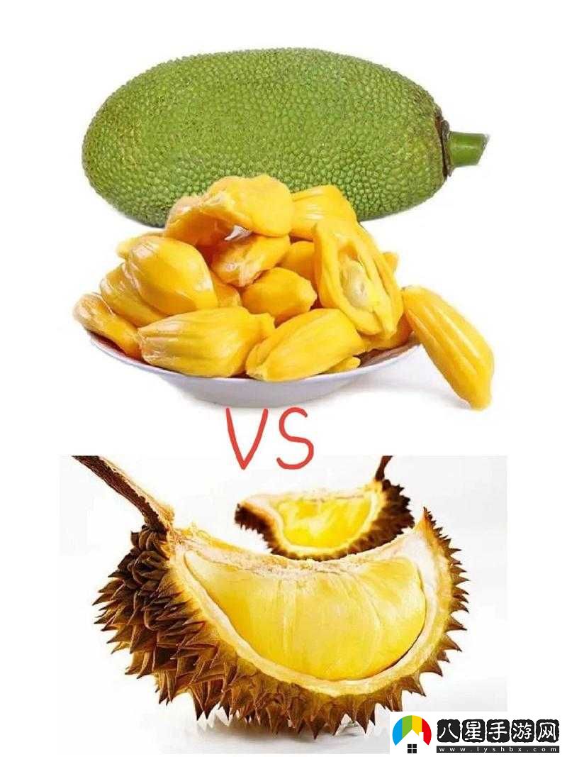 菠蘿導航