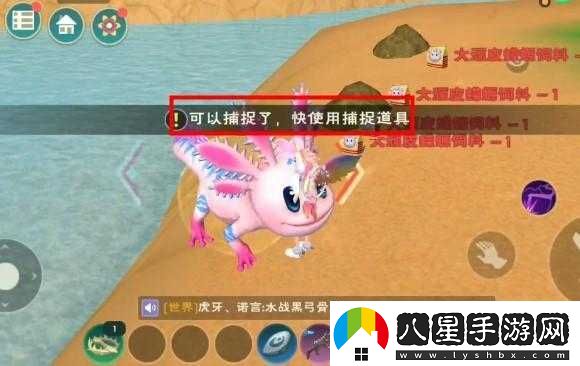 創(chuàng  )造與魔法蠑螈吃多少包