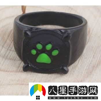 傳世奇跡獨特戒指概覽