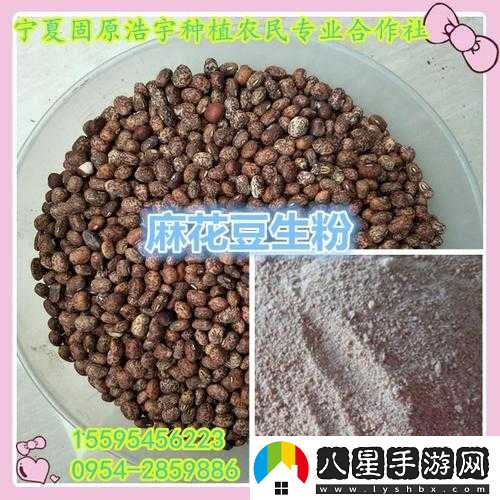 麻花豆精三產(chǎn)區的區別是什么