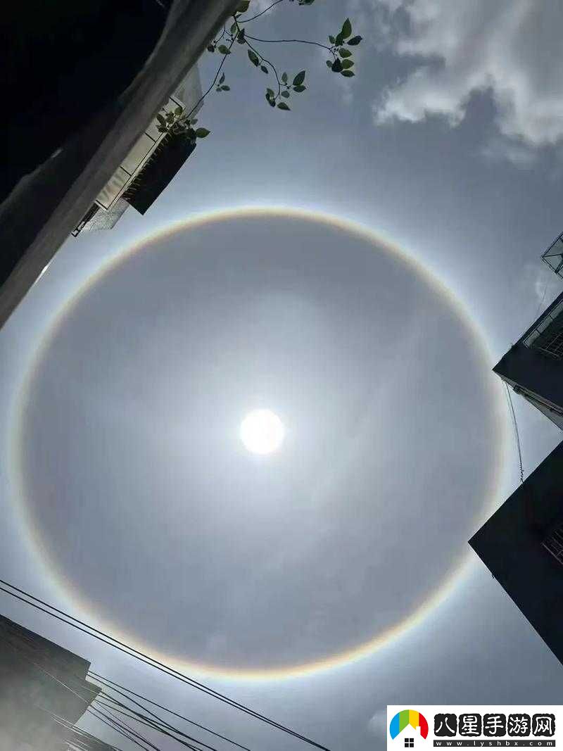 微信朋友圈射太陽(yáng)圖片