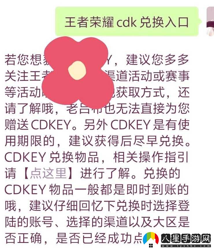 王者榮耀CDK兌換流程與頁(yè)面導航教程