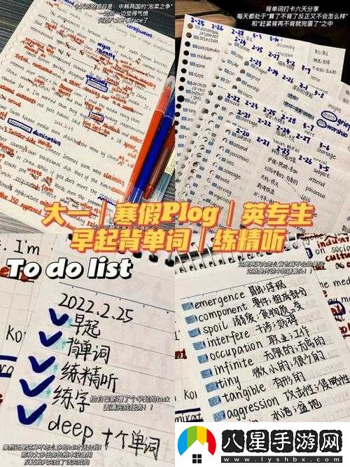 坐在學(xué)霸的大紫根上背單詞的奇妙體驗