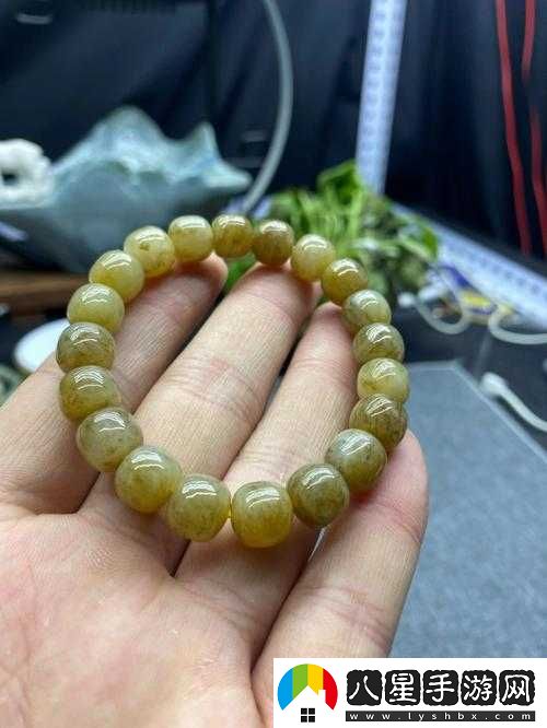 楊大壯和田桂花第二十九奇遇精彩繼續