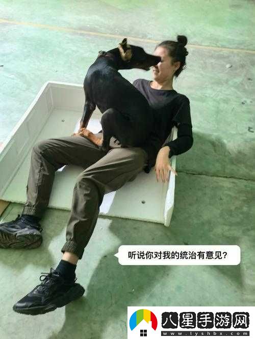 玩人狗大戰的實(shí)現方法