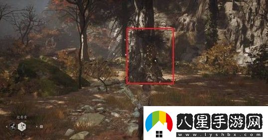 黑神話(huà)落伽香藤在哪里買(mǎi)