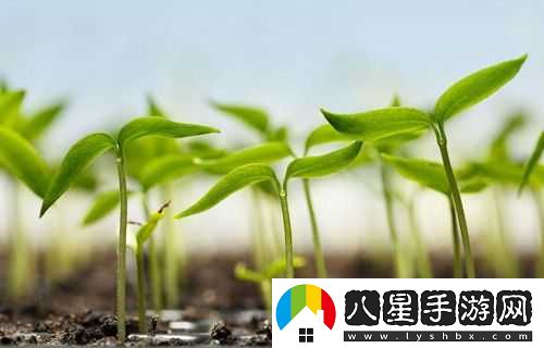黎明殺機風(fēng)暴污泥效果介紹