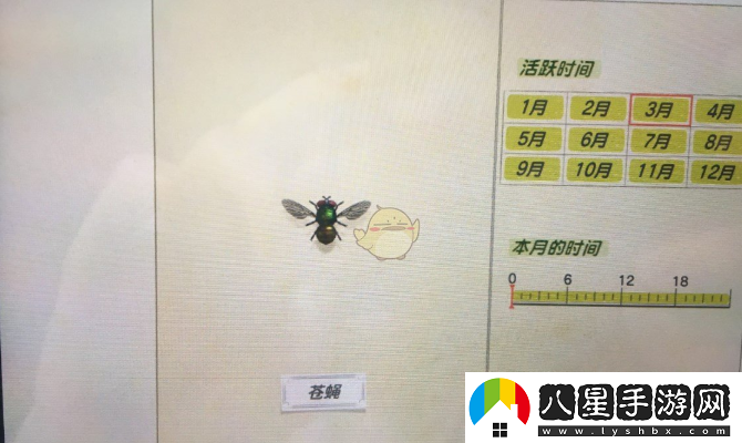 動(dòng)物森友會(huì )蒼蠅捕捉攻略