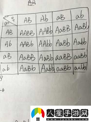 AABB與AAAA的區別據說(shuō)能找到齊全的視頻資源