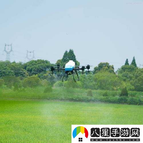 豐年經(jīng)繼拇 3 的機能量發(fā)展