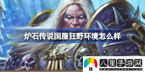 爐石傳說(shuō)國服回歸狂野環(huán)境介紹