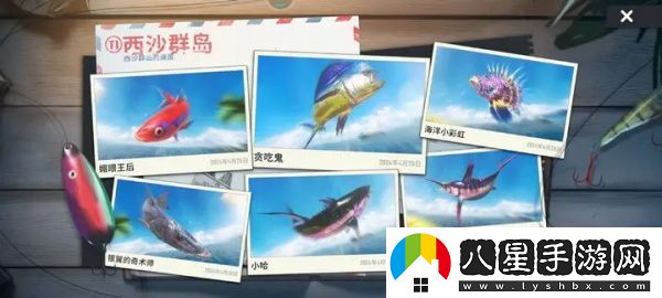 歡樂(lè )釣魚(yú)大師西沙群島怎么釣