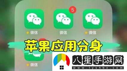 口袋妖怪新世代雙開(kāi)神器助力輕松雙開(kāi)掛機