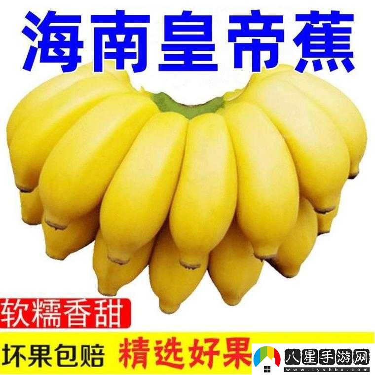 國產(chǎn)香蕉和進(jìn)口香蕉的價(jià)格比較哪款更適合你的錢(qián)包之探討