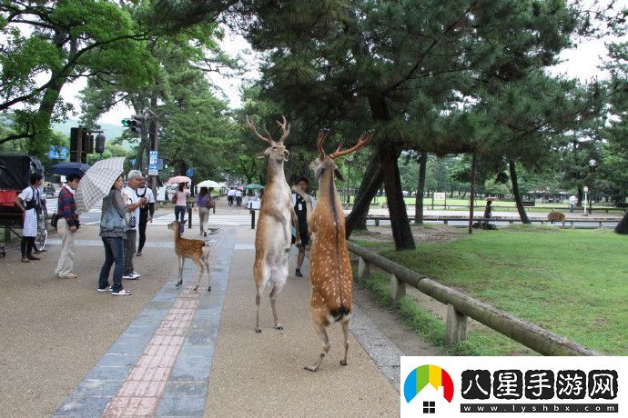 周五搞笑內涵圖雙11房子打折嗎不打折你還買(mǎi)啥