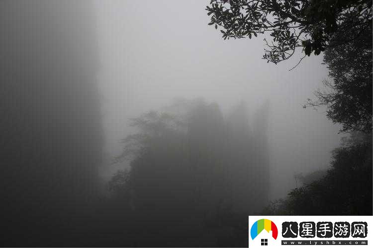 用龍根養大的公主