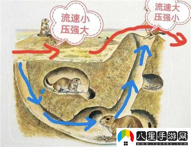 小洞需大肉腸所指的內涵