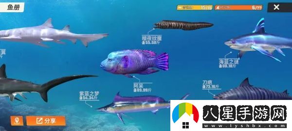 歡樂(lè )釣魚(yú)大師稱(chēng)號魚(yú)釣取技巧攻略