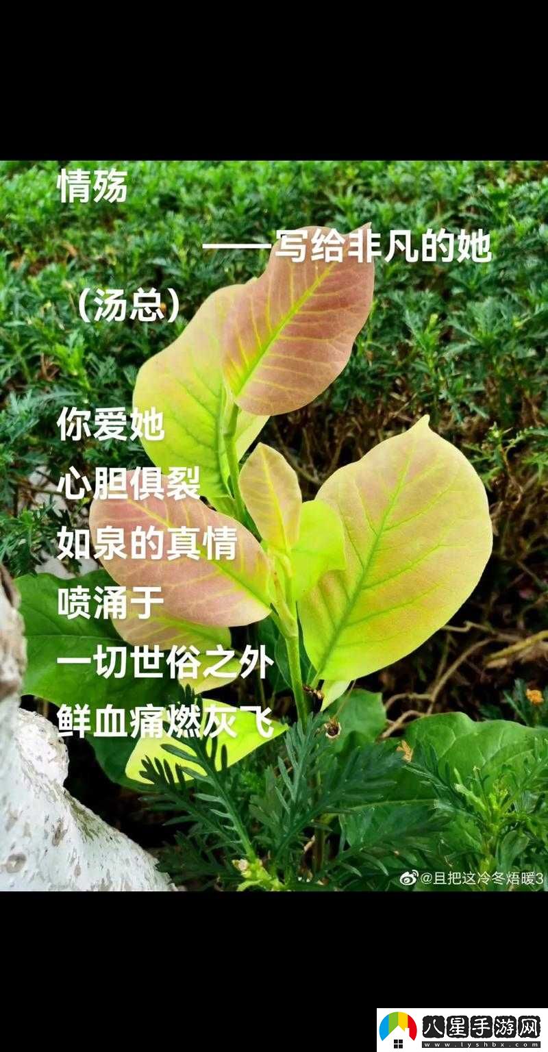 她非凡我尊敬——他的話(huà)語(yǔ)令人疑惑