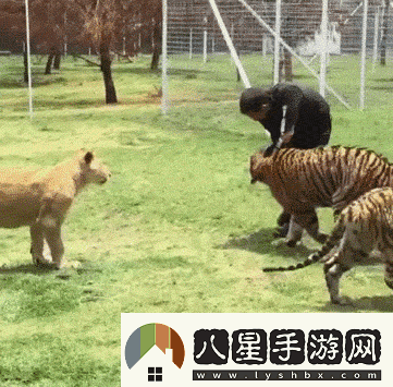 炎炎夏日再窮不能沒(méi)空調妹子驚嘆你連風(fēng)油精都不如