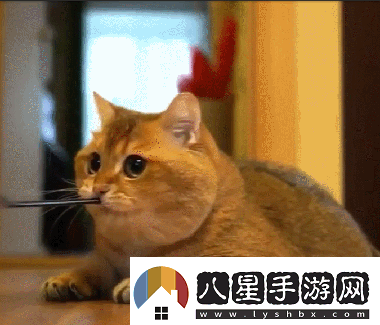 炎炎夏日再窮不能沒(méi)空調妹子驚嘆你連風(fēng)油精都不如
