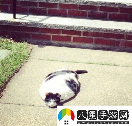 炎炎夏日再窮不能沒(méi)空調妹子驚嘆你連風(fēng)油精都不如