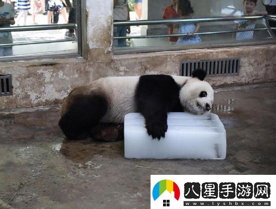 炎炎夏日再窮不能沒(méi)空調妹子驚嘆你連風(fēng)油精都不如