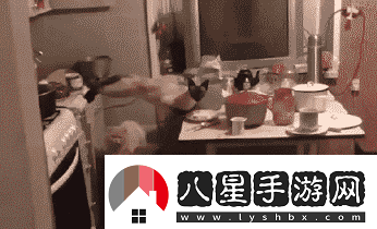 炎炎夏日再窮不能沒(méi)空調妹子驚嘆你連風(fēng)油精都不如