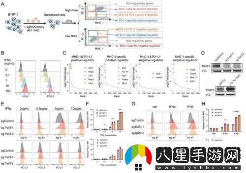 無(wú)人區編碼 6229JM 如何解讀之分析