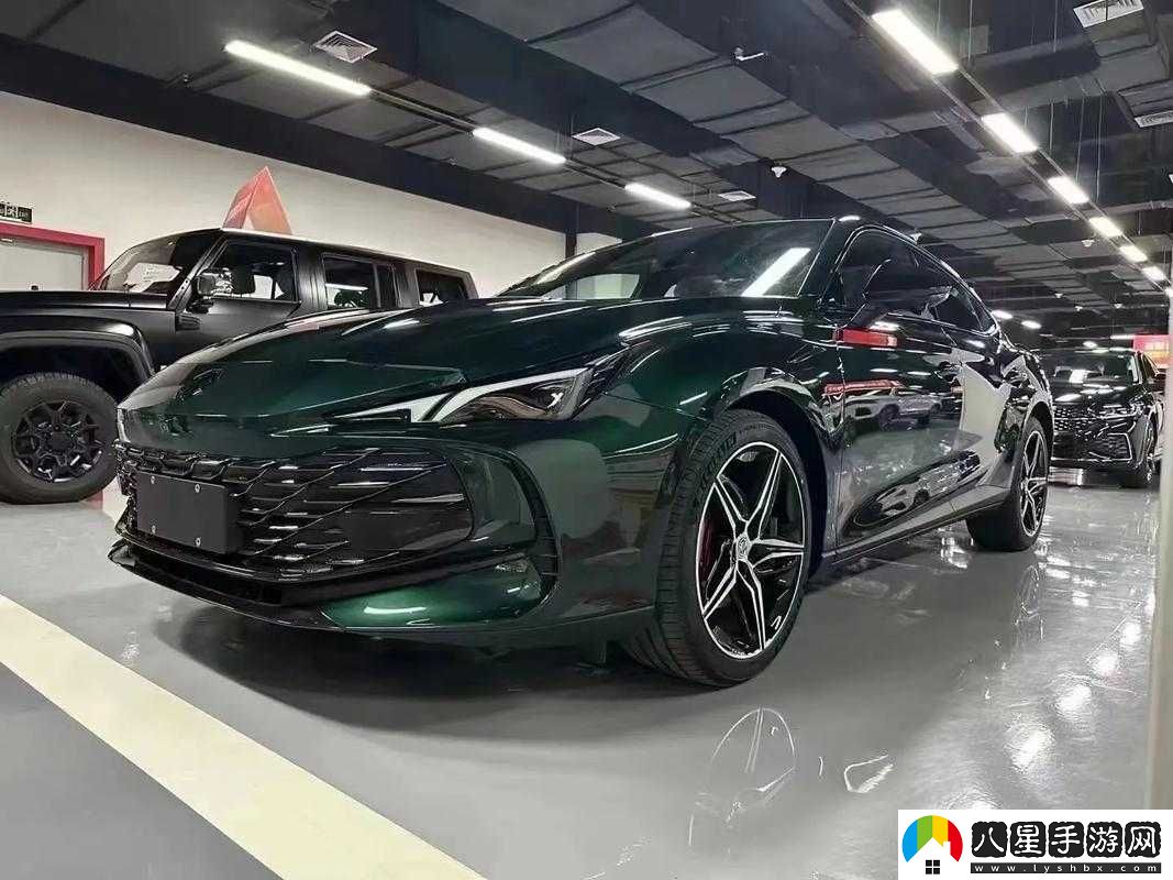 剛提的新車(chē)是什么牌子
