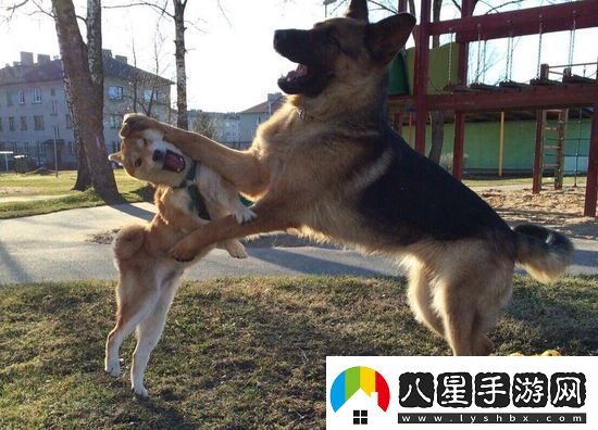 炎炎夏日再窮不能沒(méi)空調妹子驚嘆你連風(fēng)油精都不如