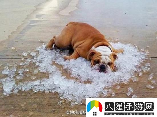 炎炎夏日再窮不能沒(méi)空調妹子驚嘆你連風(fēng)油精都不如