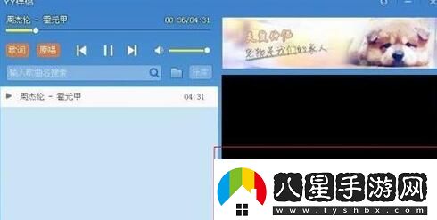 YY伴侶的詳細使用過(guò)程講解