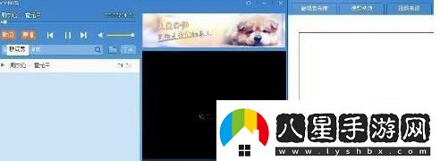 YY伴侶的詳細使用過(guò)程講解