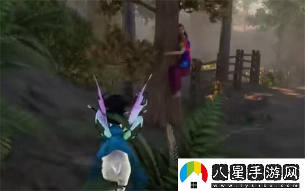 抱樹(shù)者位置一覽