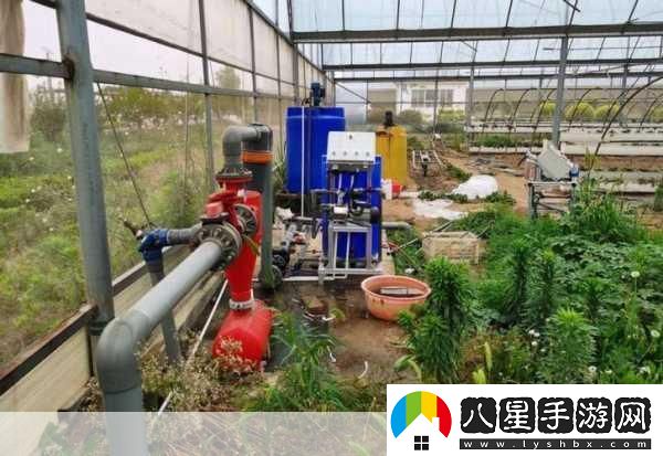 jy灌溉收集系統顧清筆趣閣