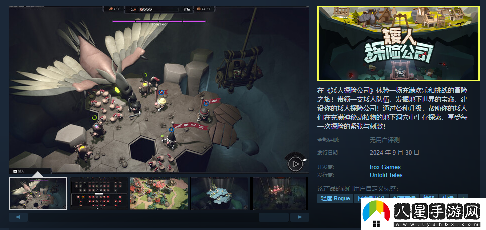 矮人探險公司游戲steam價(jià)格介紹