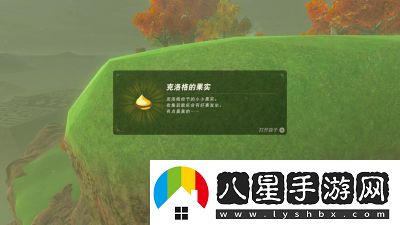 如何獲得塞爾達傳說(shuō)