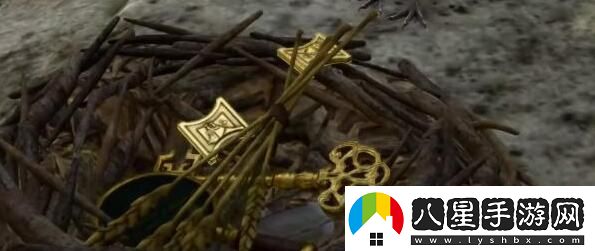 博德之門(mén)3鳥(niǎo)巢閃亮亮寶箱怎么獲得